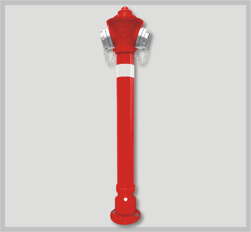 Hydrant zewnętrzny DN80